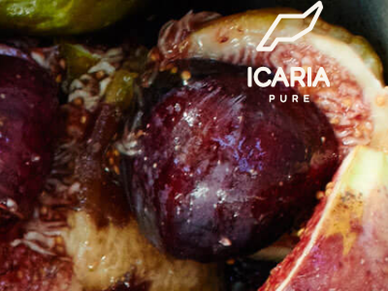 Icaria Pure - CodeFactory